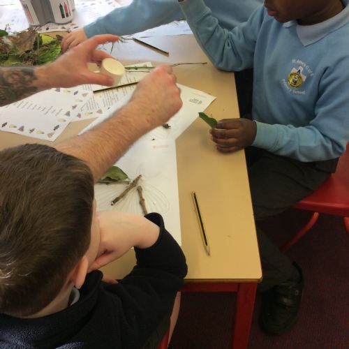 Science Week