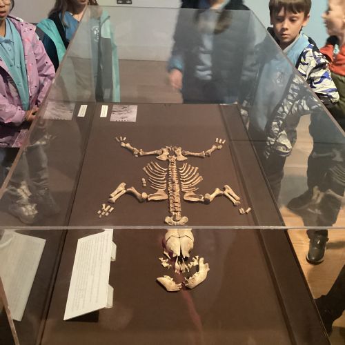 IMG0009