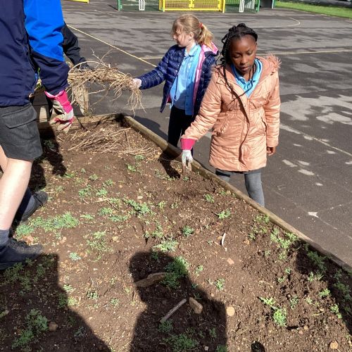 Gardening Club 2024