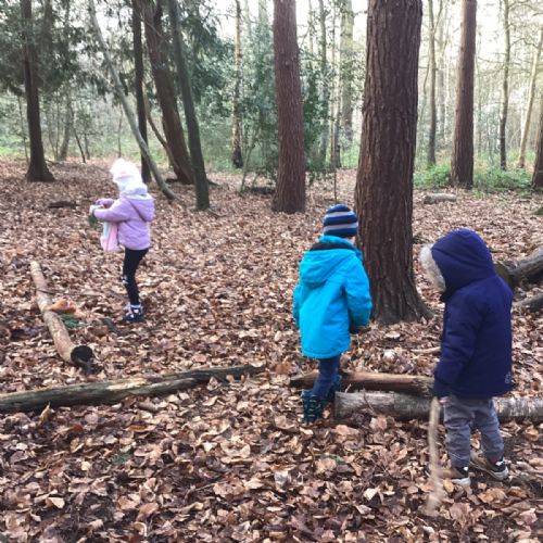 Forest School