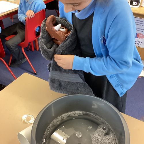 How to wash a Wolly Mammouth